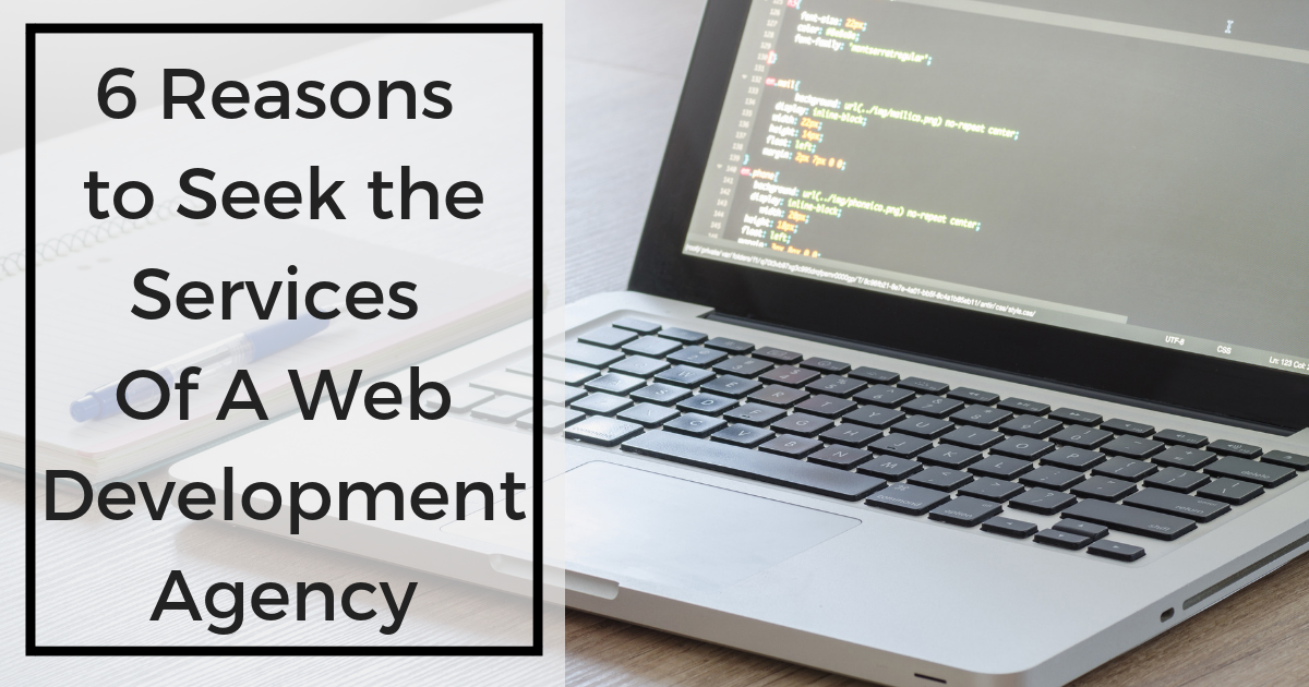 6-Reasons-Why-You-Should-Seek-the-Services-of-A-Web-Development-Agency